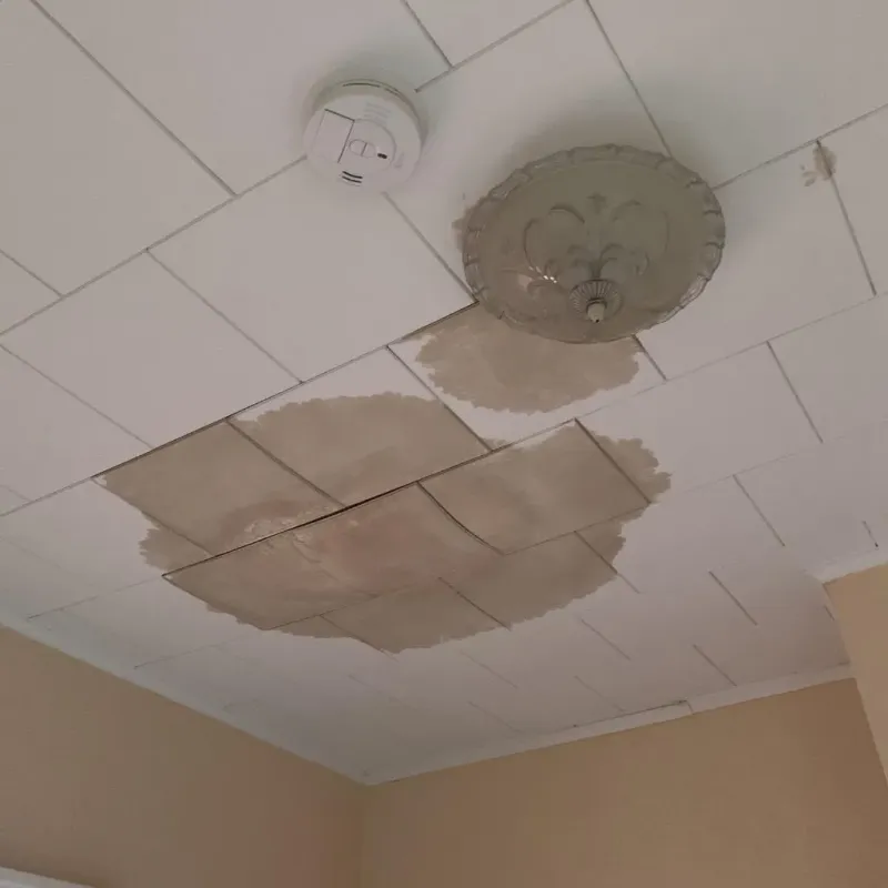 Ceiling Water Damage Repair in Sardis, MS
