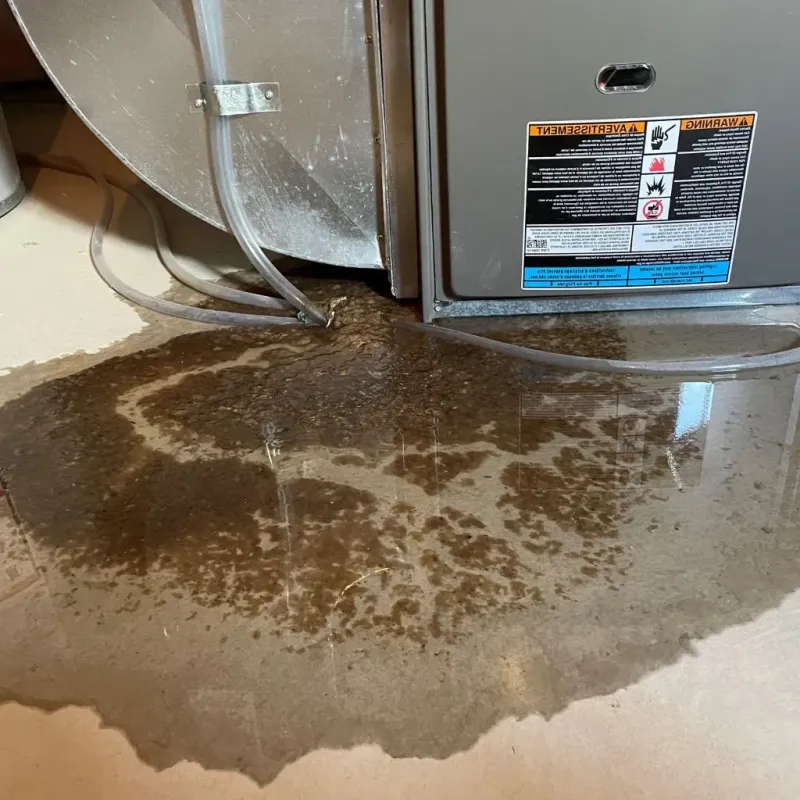 Pipe Burst and Leak Restoration in Sardis, MS