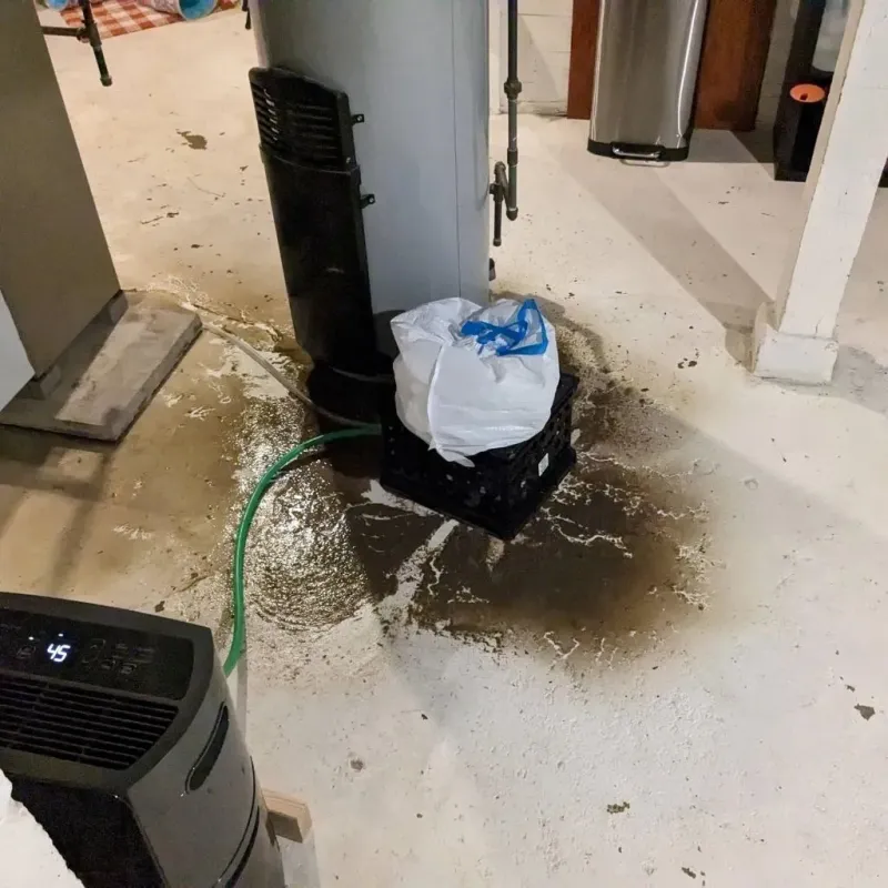 Sewage Backup Cleanup Service in Sardis, MS